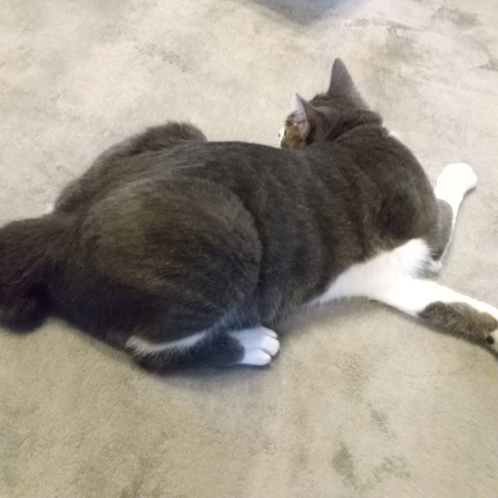 3af2aef5 4bd7 43b3 8830 827746691908 1600214231984