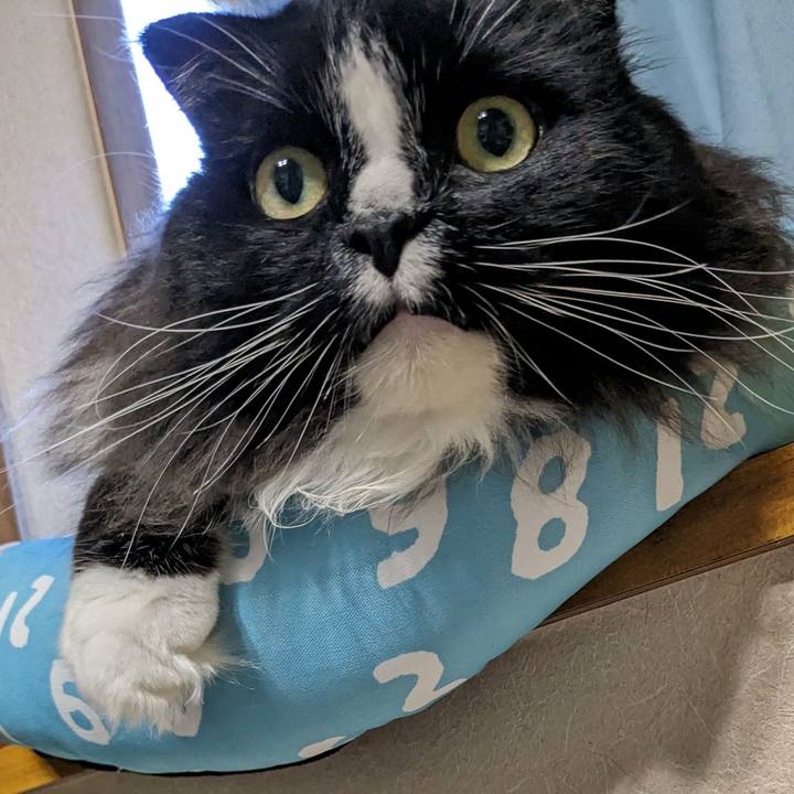 3af2f108 b1af 4ab9 8fbd dfc22c2773ee 1687991218818