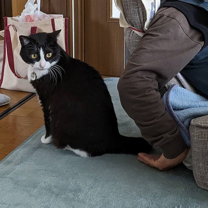 3af32beb 1fce 4e7b 9eb6 6f7528cbfd67 1684726676350