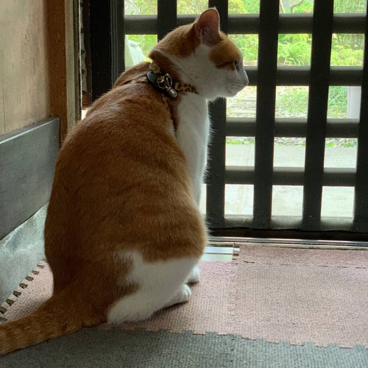 3af32f23 3eb8 4e69 9639 729e0d5acc78 1595407006569