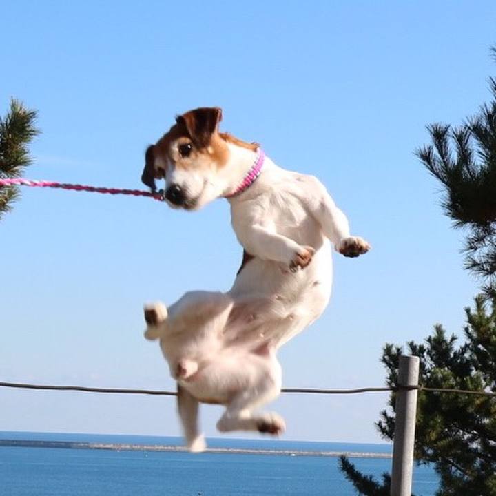 3af3314f bff4 4510 bc42 82aa865a3418 1513050023668