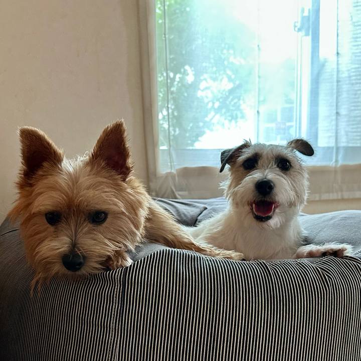 3af34688 969b 4e81 8775 eac9ac4f860d 1755244185899