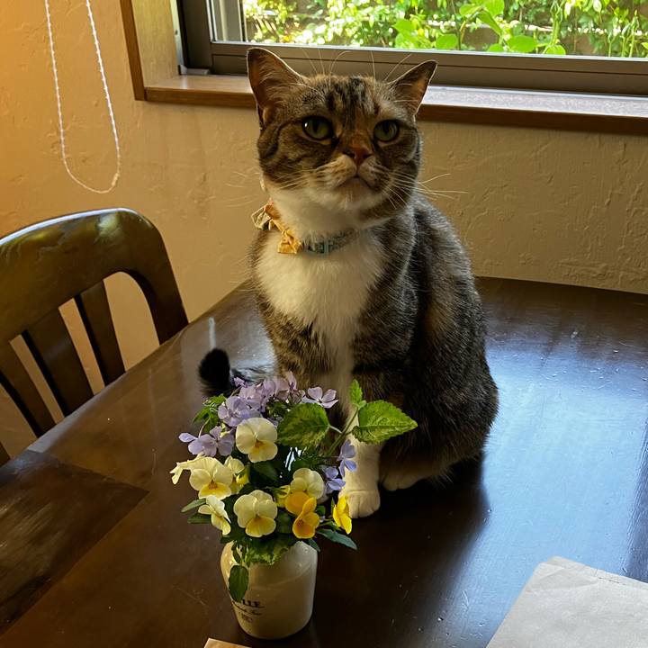 3af38eb6 2466 4835 91d8 232835ee872c 1776339040745