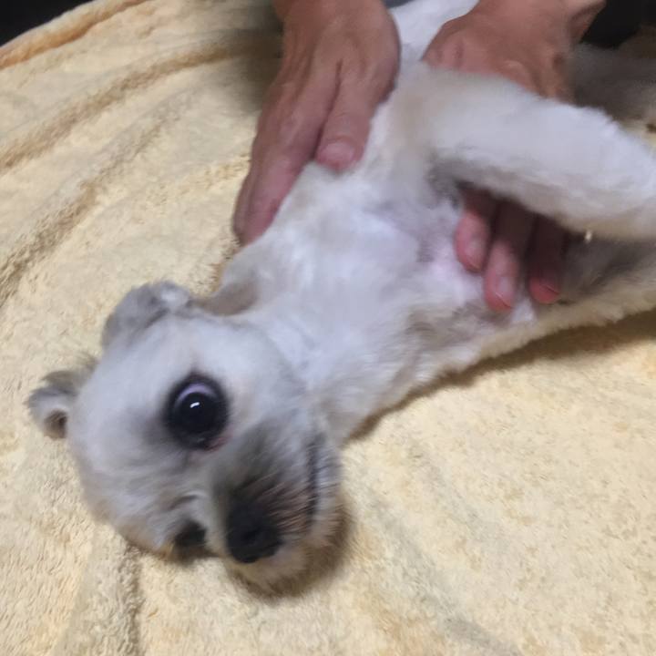 3af39392 99f0 433a 9279 499a1ff929f1 1533914831934