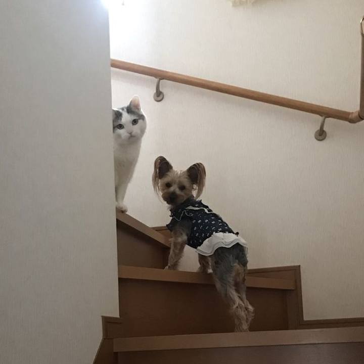 3af39bc8 eb95 47fc b244 fed6bdc10ba9 1520325988656