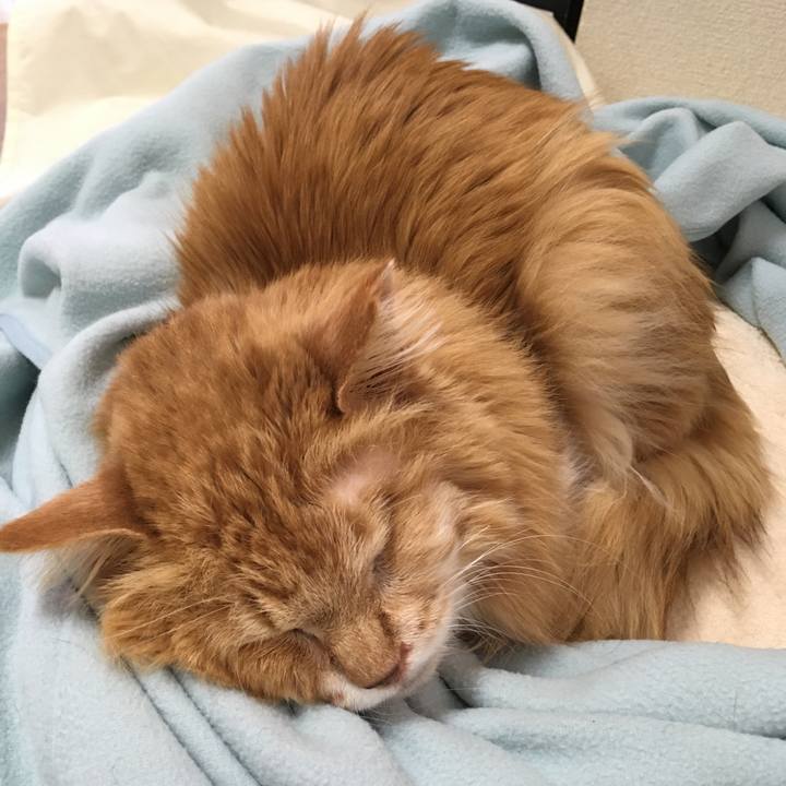 3af39e54 ee93 4054 a9e1 7e2a9035050e 1523160376126