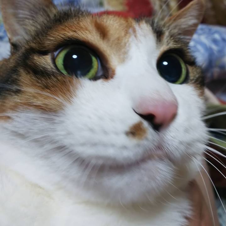 3af3b8b0 c9ad 46b8 b6a9 3f01f30e217f 1575069928907