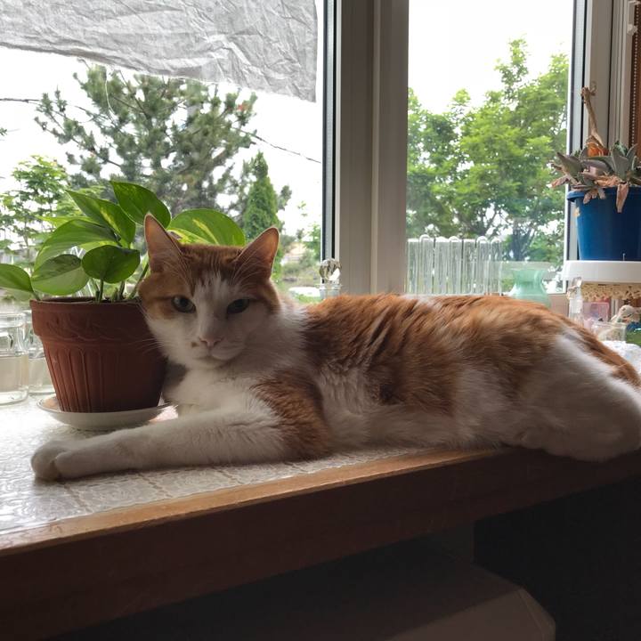 3af40ab6 f3a3 4bc1 b0a7 e61d2b630145 1528753427755