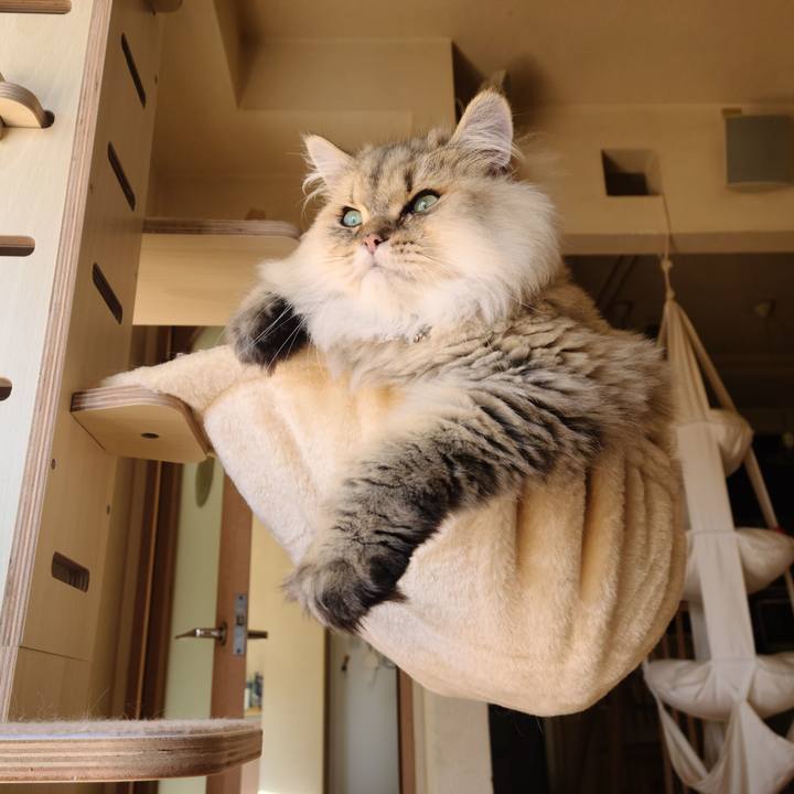 3af44bfa d372 4463 b4d7 b210c23910a7 1634262694289