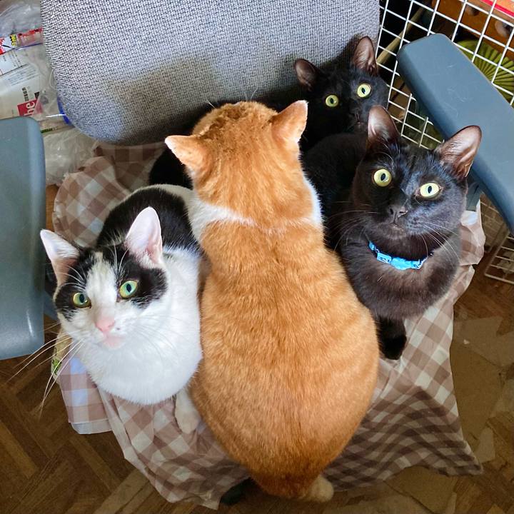 3af4506d 61ed 45c6 b8e0 4d18d15f303e 1682728945718