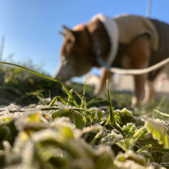 3af451f8 3e71 408c ac0c db169d0ea24e 1734496808766