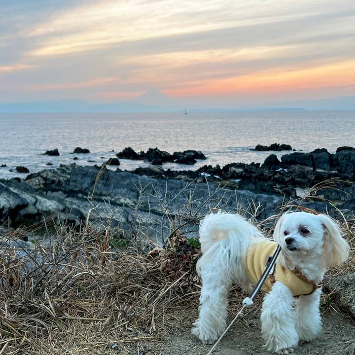 3af4818f 011e 4506 a820 11cffa43d894 1678178664296