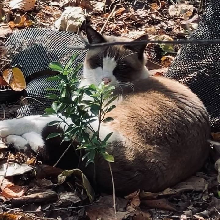 3af487d5 a1a9 4e79 905b a5e4394350c1 1732260002823