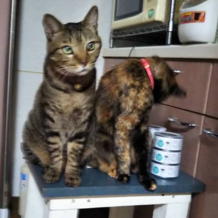 3af494a9 4181 4d4d 915a 8d1de9a7ce7f 1584103330776