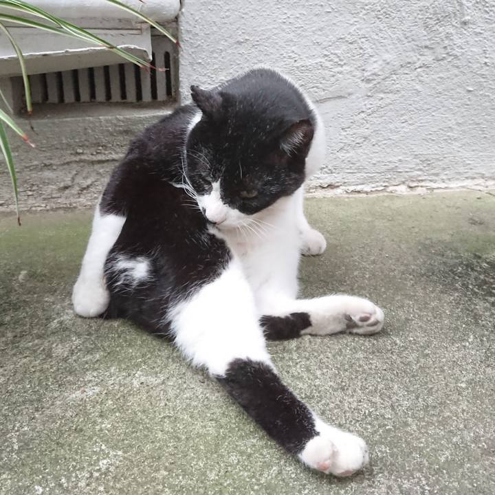 3af4c784 3573 4b08 8218 eeab155c5713 1696751647893