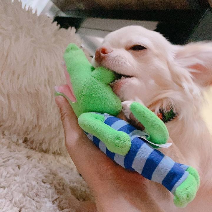 3af4f0ba 4804 4800 b129 b8505b26ade1 1624393500637