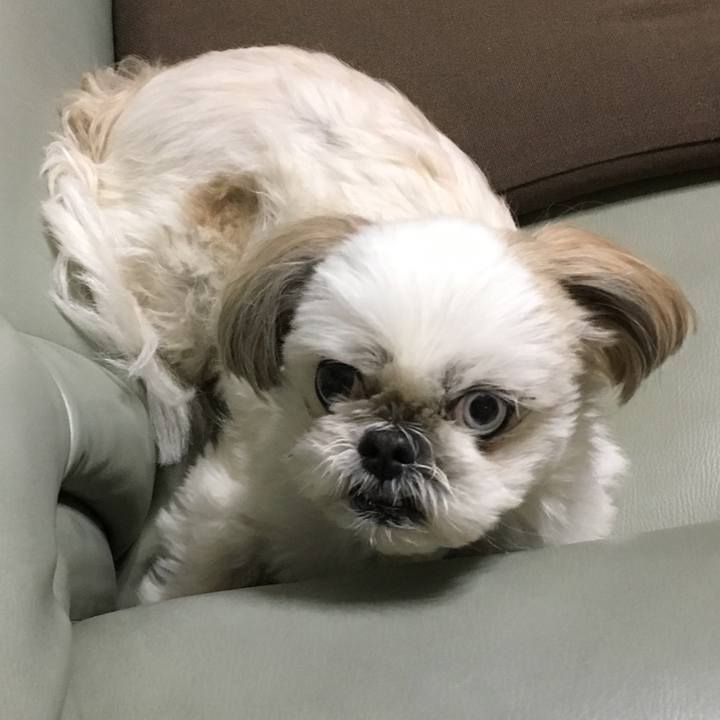 3af51857 1685 47bb 9110 0d083733d0c6 1551956473945