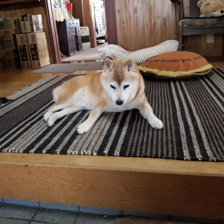 3af53508 ca9c 4fb1 8040 6dc5060af854 1740447941834