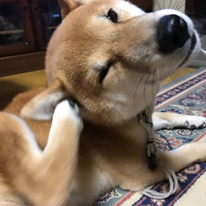 3af56f01 a9f7 42f1 bd2e 183173b98aa1 1547472663755