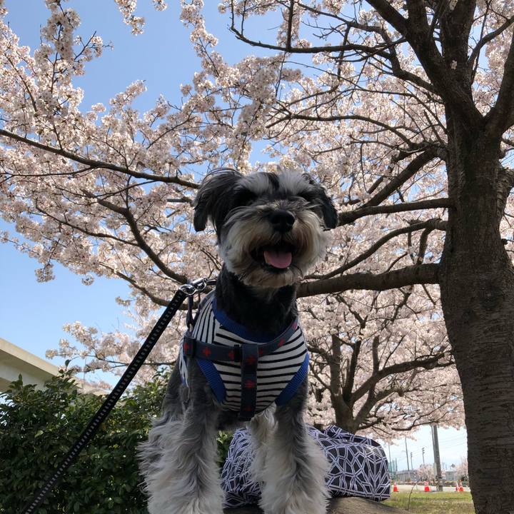 3af56f5b 1f56 48f1 a729 0e6c993a6be8 1649578379921