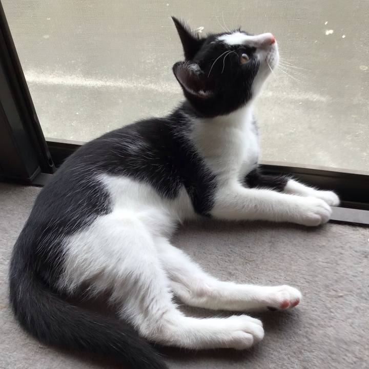 3af5a077 8e72 44ee aa43 d5c91e0bae63 1626322645749