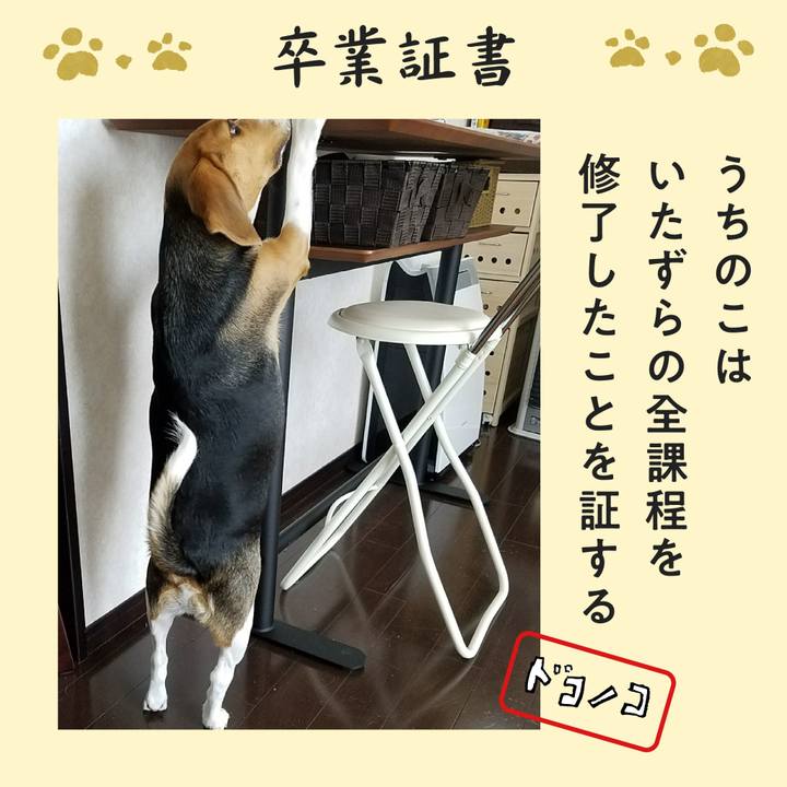 3af5a2d4 901a 4d2b aa55 6853f3e4beda 1772060977204