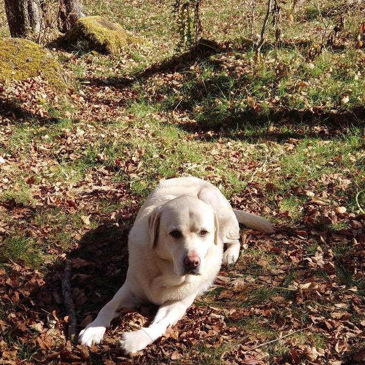 3af5c0f8 3354 40a6 a339 9921d5849d11 1667363973660