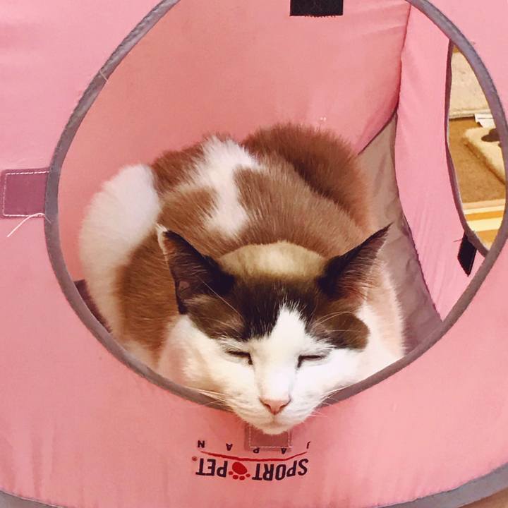 3af5c92a d7b6 4f47 964e 6c5797ee4be8 1521632875481