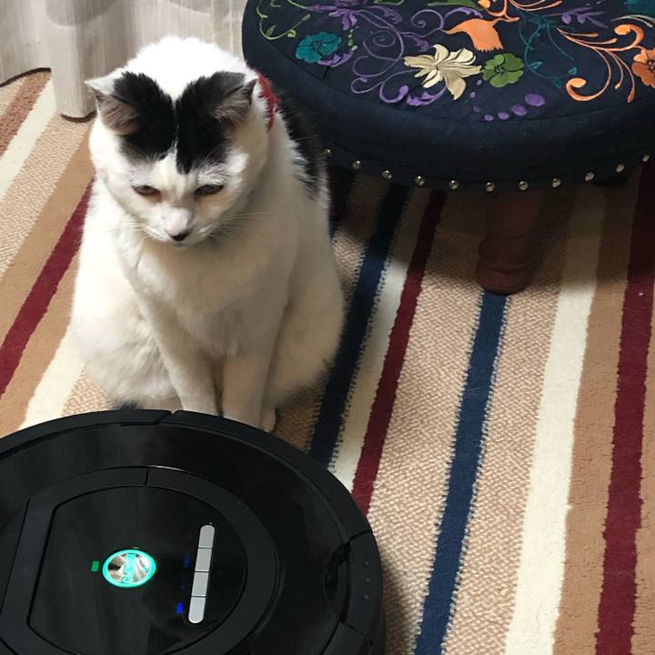 3af5e994 d176 4a3c 9bf0 d088ba47440d 1555683258378