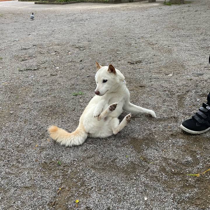 3af6168a 8c91 4be6 ba45 48b0ae717bc2 1652613941494