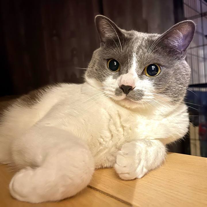 3af6219b 53a2 4bb2 a0a9 76c728ab3fc2 1658574831019