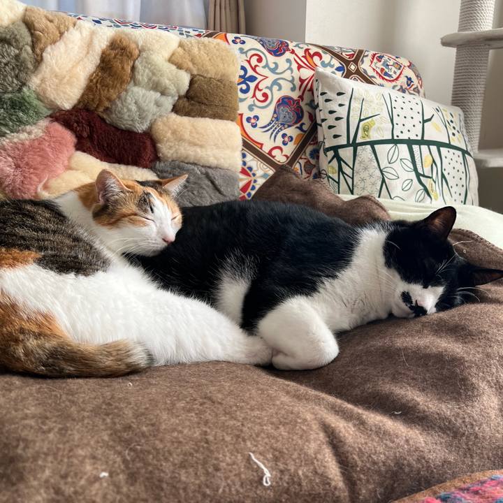 3af635e0 efe8 4841 8017 b08a02b699d2 1763185925536