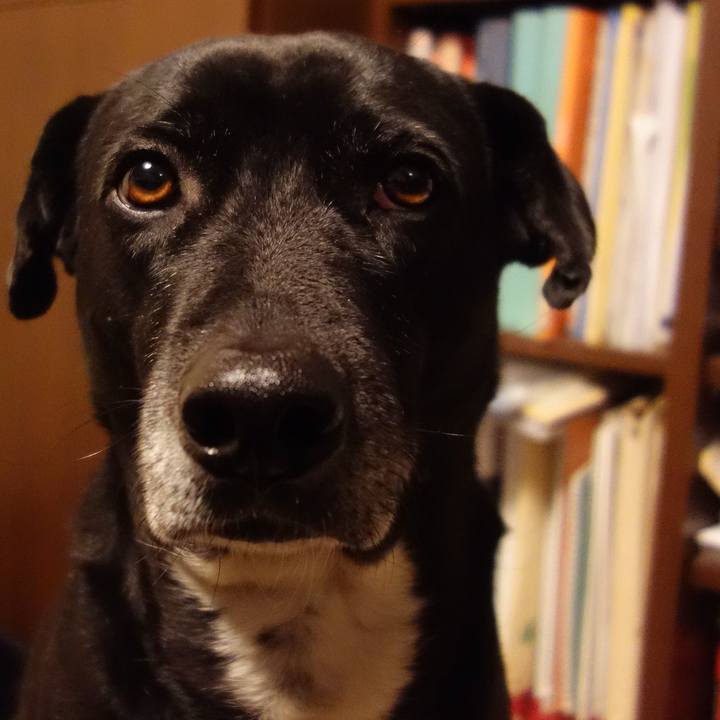 3af63682 33d0 45c8 b63a 12087a61efe0 1674645095595