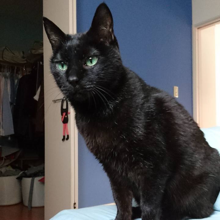 3af65d3a 1359 4381 a0cb 041a06d4e448 1551429131342