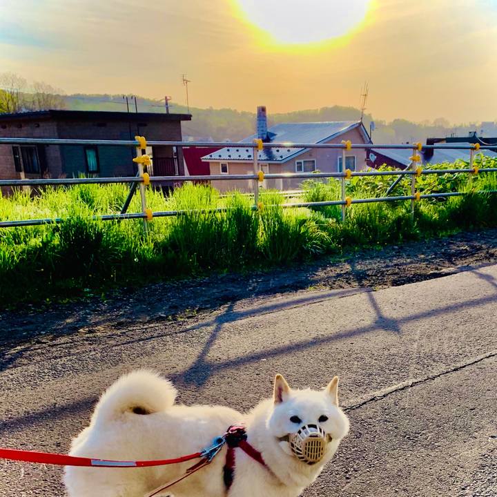 3af661e8 715c 45b7 8e56 c90579bfb566 1589835070439