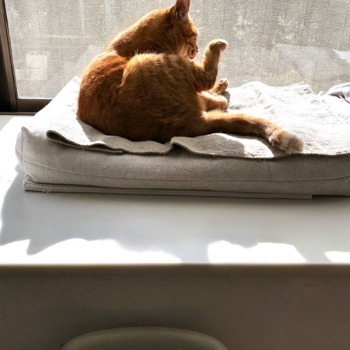 3af664bf c100 4c58 8785 a96baabb9141 1512618642679