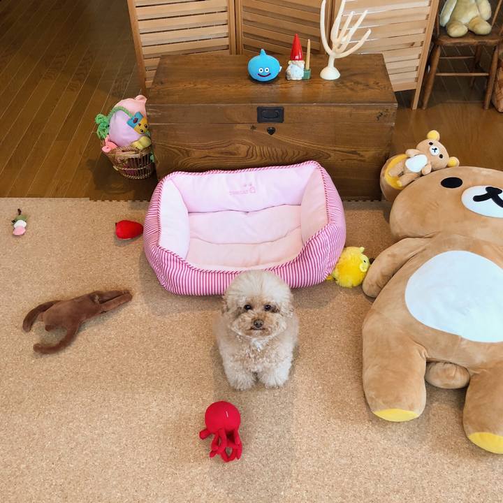 3af67671 fe92 4a6c 9bcb 42c3fd4a3fb2 1511671936197