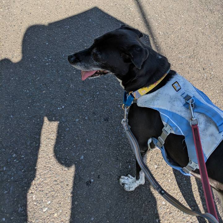 3af69828 7cf0 4522 889b 3ebf7dfcbc59 1753833979166