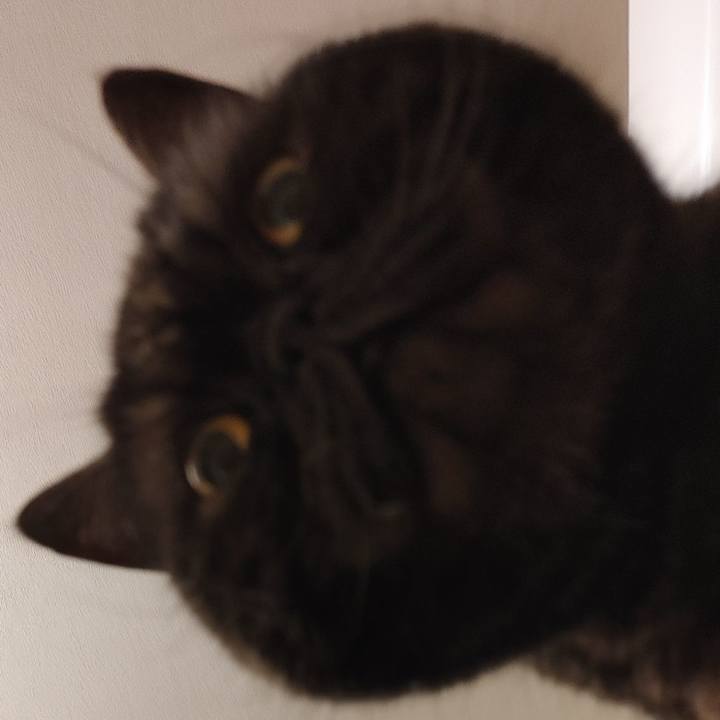 3af69f69 853d 41dc a1ef 1f6b8a1ecf9e 1618749271038