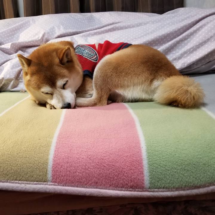 3af6a994 5e16 4cf5 8ef2 af13cfc7fe76 1583499566949