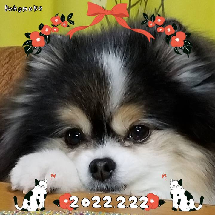 3af6f077 09f8 4172 9b41 b20b7f9843d4 1645539645966