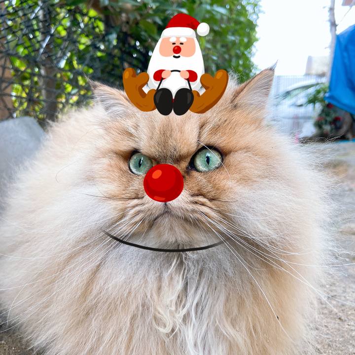 3af70f80 d86e 4394 ade5 8333708e3dcf 1577170507078