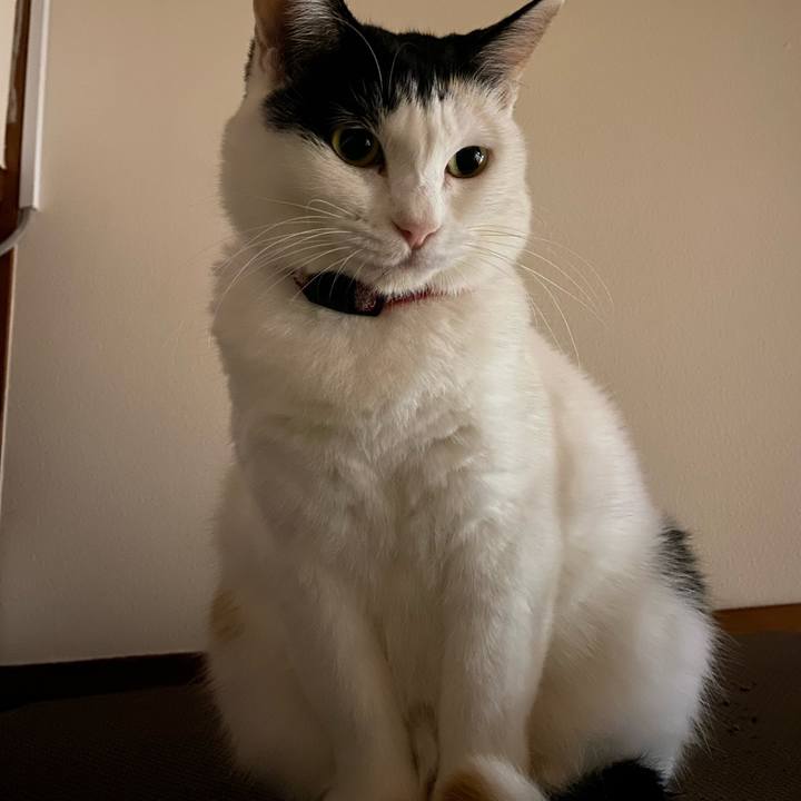 3af73106 def8 4cb2 9b41 86a218af0718 1698068466965