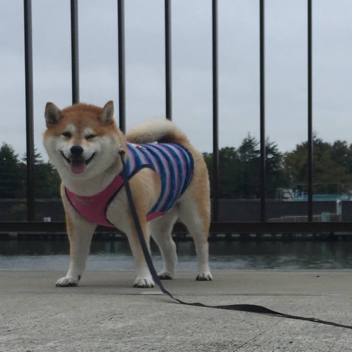 3af7388a 757f 452d bac2 95c90cf696bc 1570761896453