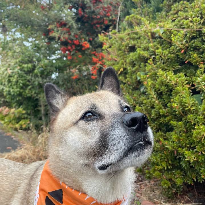 3af73903 b566 468d ac76 a75f3770c7c8 1698406516038