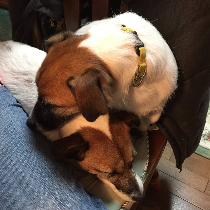 3af74207 00f8 4f56 8c74 97ab26f718eb 1541843605060