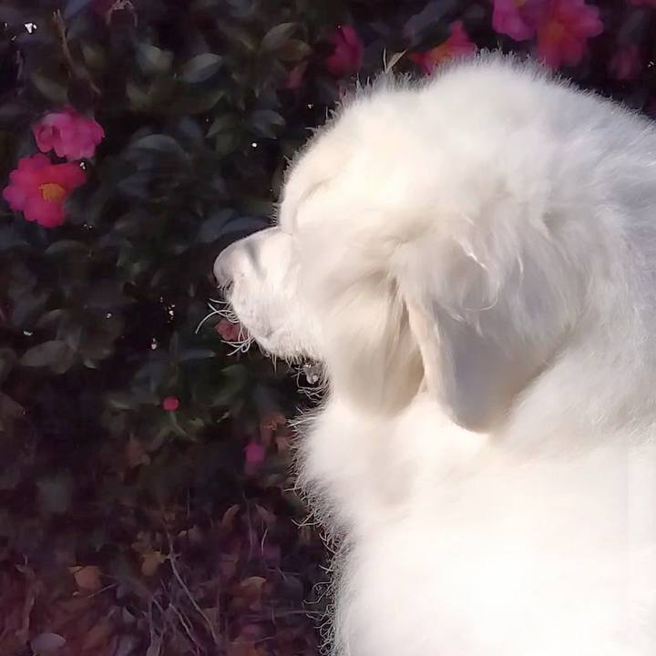 3af75575 355e 44ae a860 481d003ee8f4 1672813449861