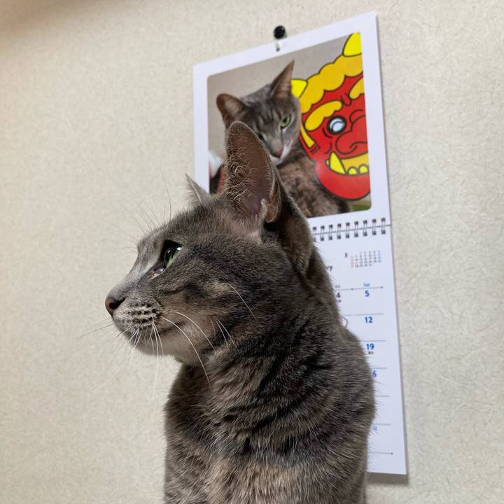 3af77731 f87a 4dcd b44a 5758ed1b4128 1644540144116