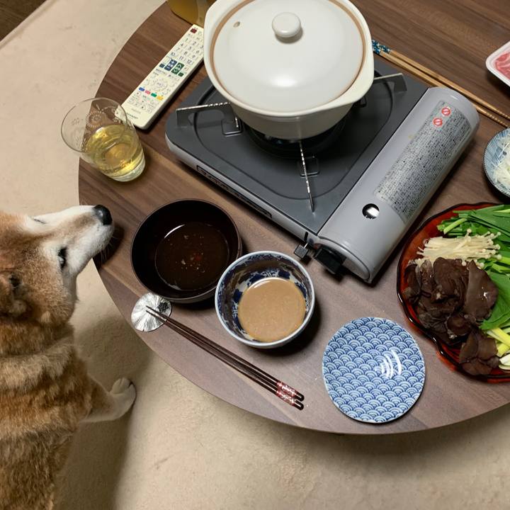 3af79832 a3a9 46ed bda3 1c55a9569731 1564401824826