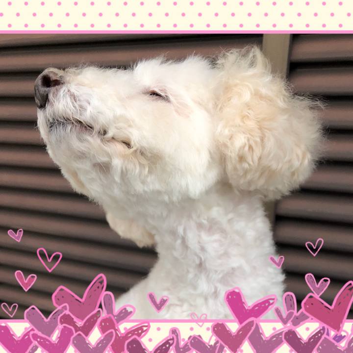 3af79879 f162 4a43 936e 2e28cdd0b3a7 1536742675773